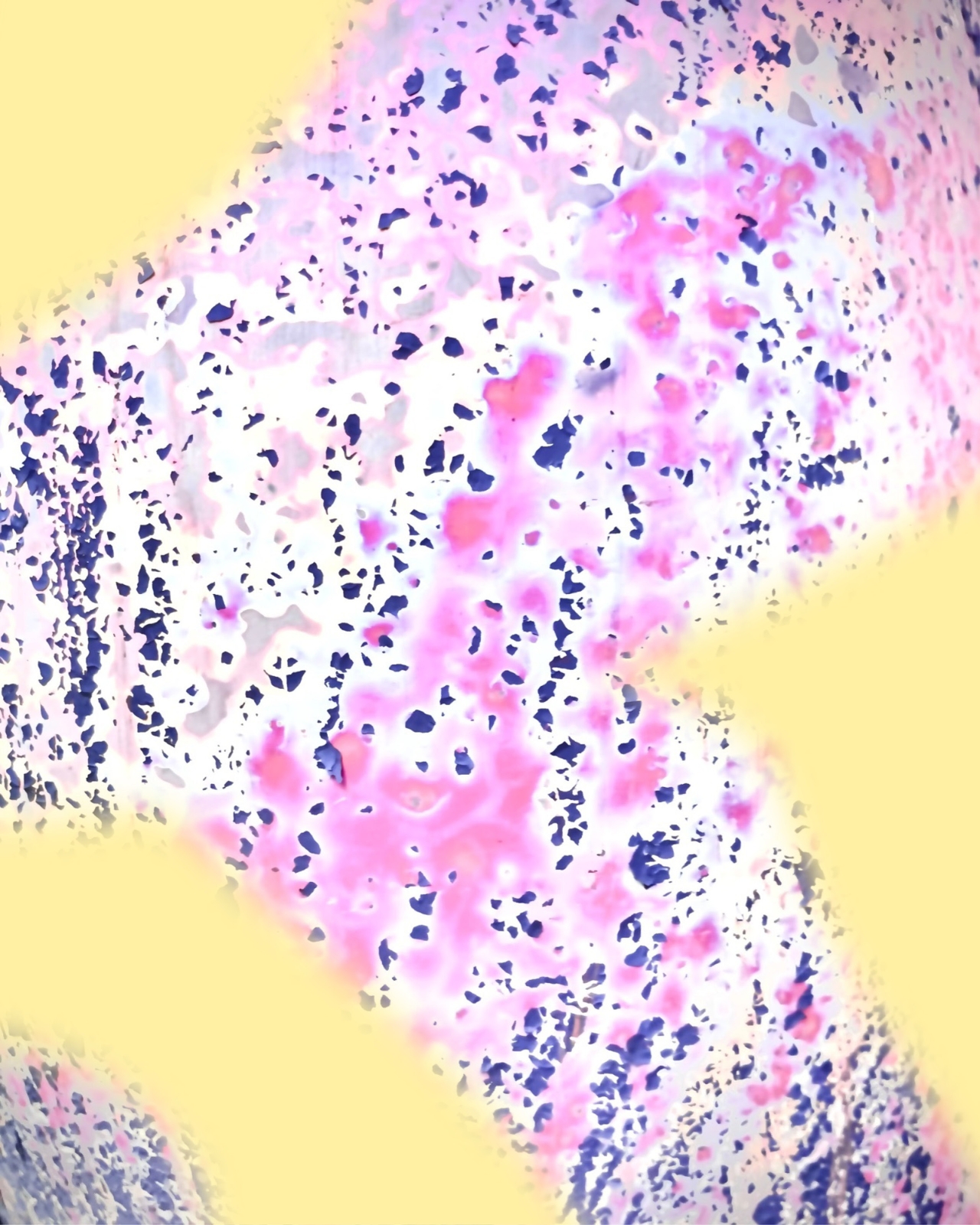 Slightly Mad Fashion Show